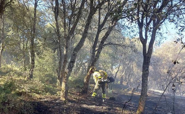 El incendio forestal de Las Merindades calcina 20 hectáreas