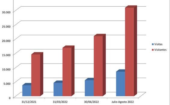 Gráfico de las visitas. 