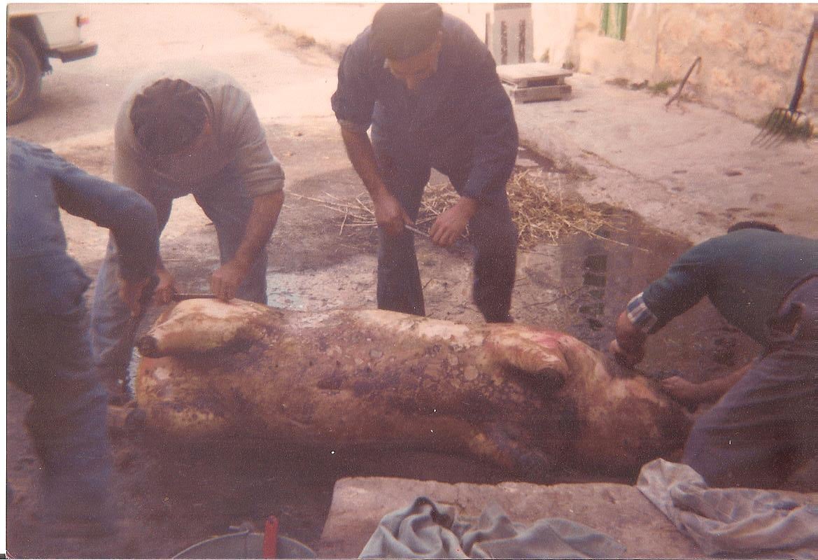 Arcos de la Llana. Matanza