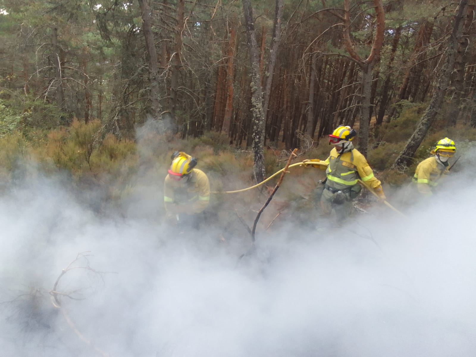 Fotos: Incendio en Mazueco de Lara