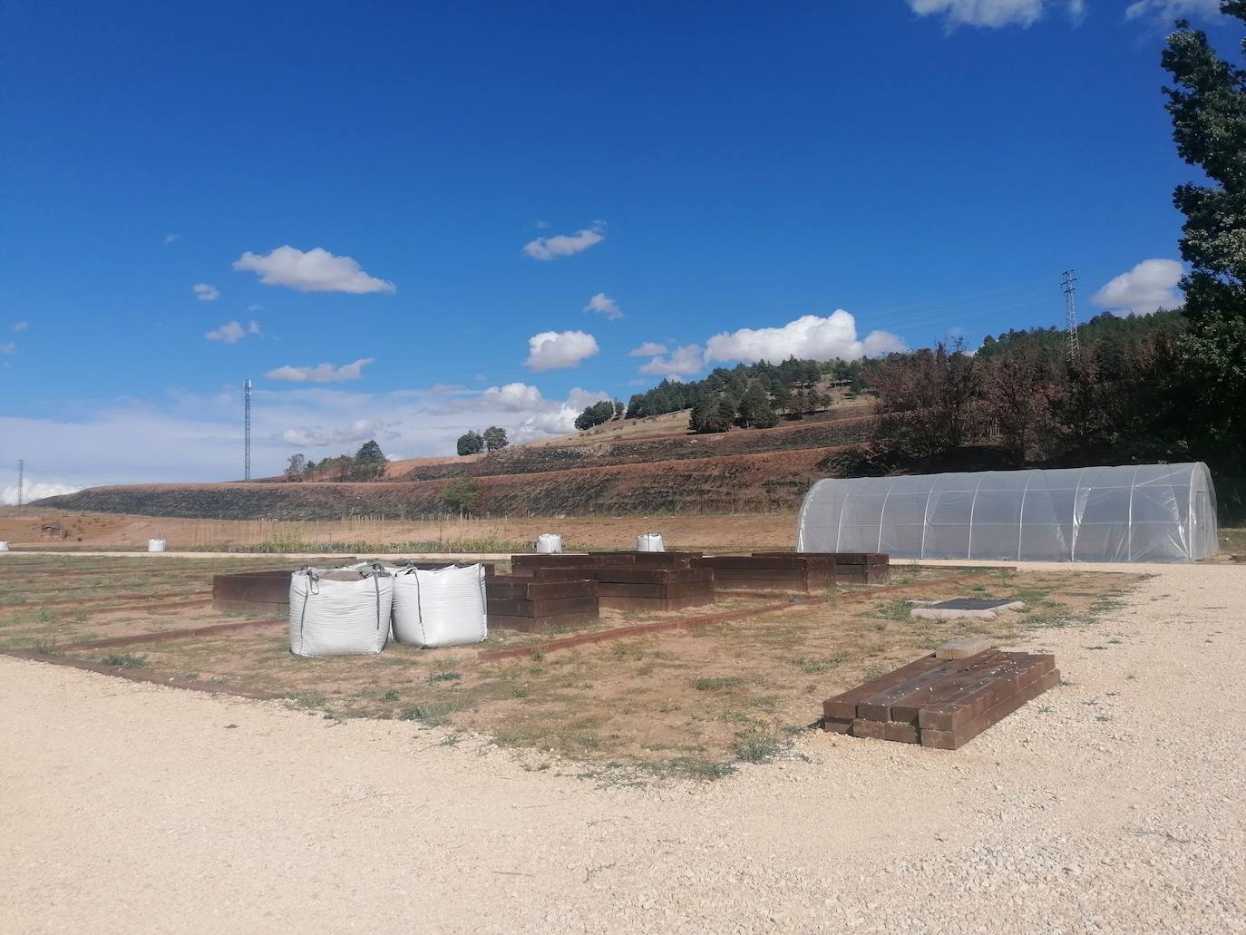 Fotos: Proyecto intergeneracional en los Huertos de Ocio de Fuentecillas