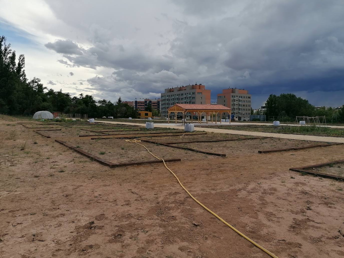 Fotos: Proyecto intergeneracional en los Huertos de Ocio de Fuentecillas