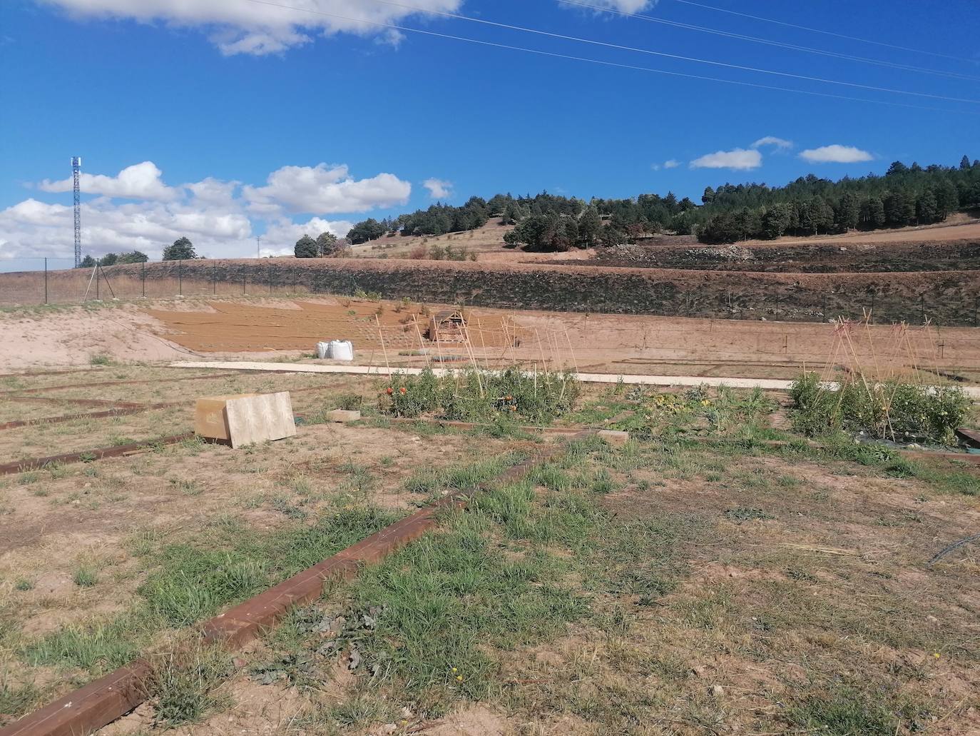 Fotos: Proyecto intergeneracional en los Huertos de Ocio de Fuentecillas