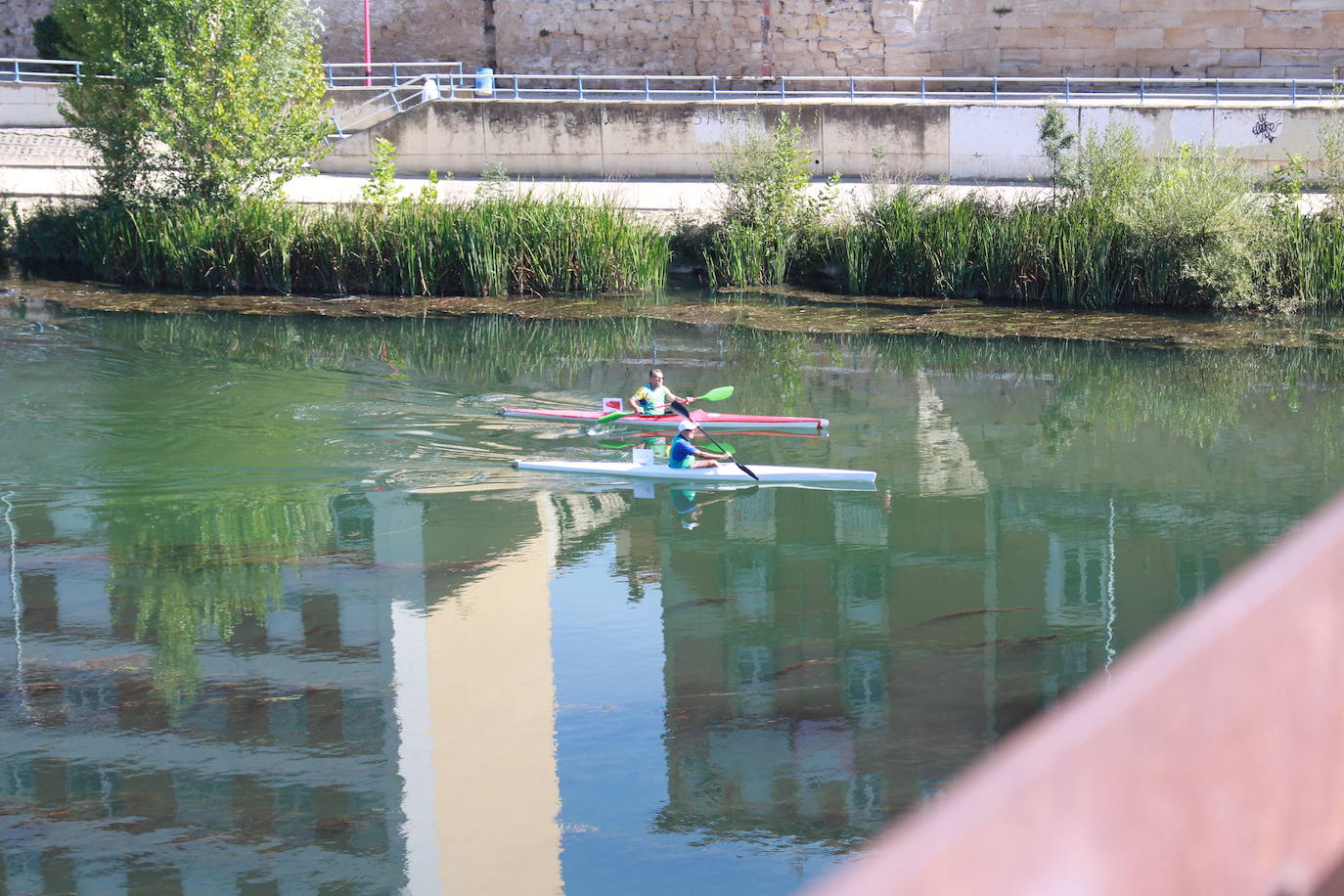 Fotos: Miranda rema a favor del Ebro en la Primera Carrera Empresarial de Piraguas