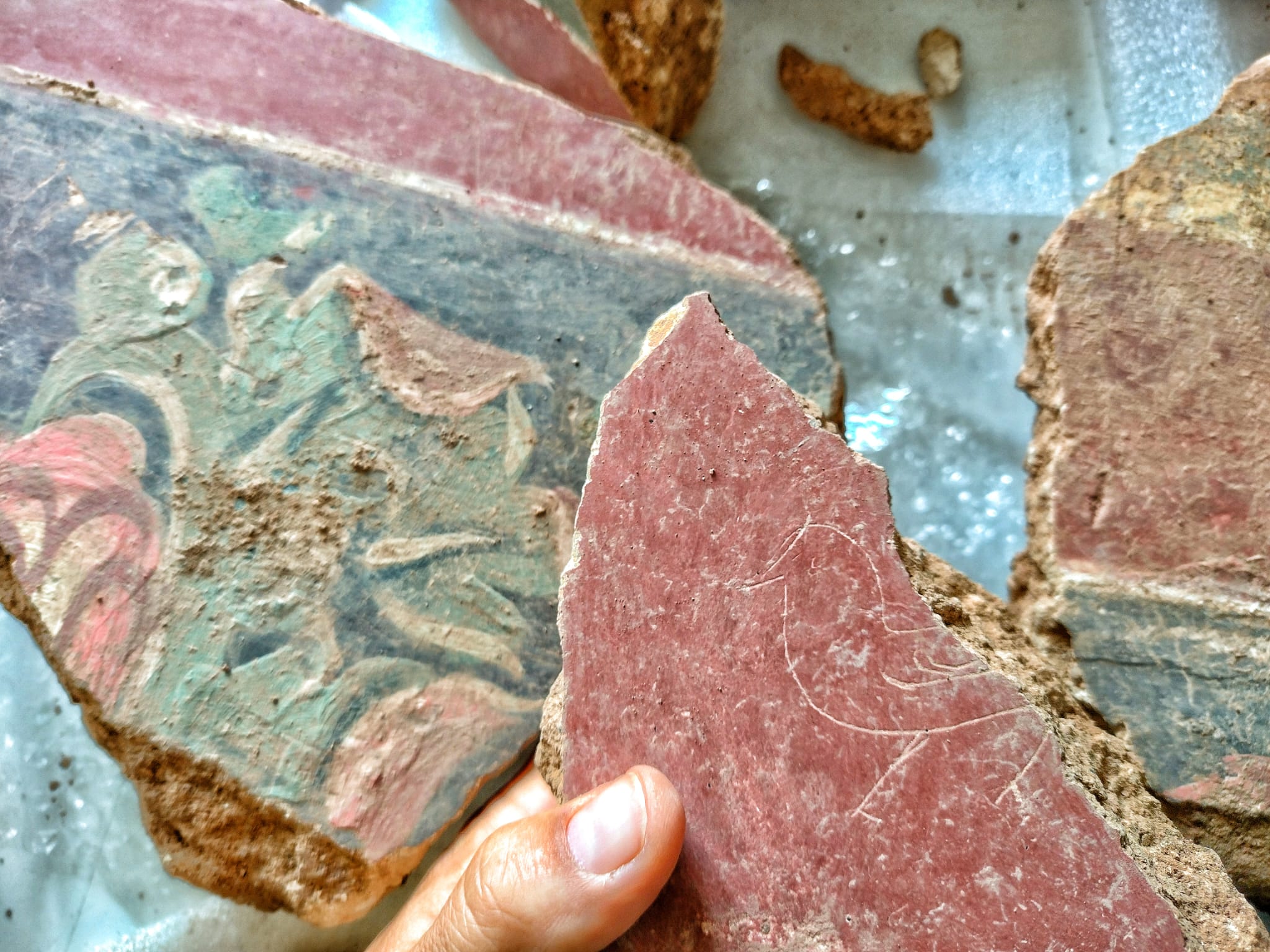 Fotos: Excavaciones en la ciudad romana de Poza de la Sal