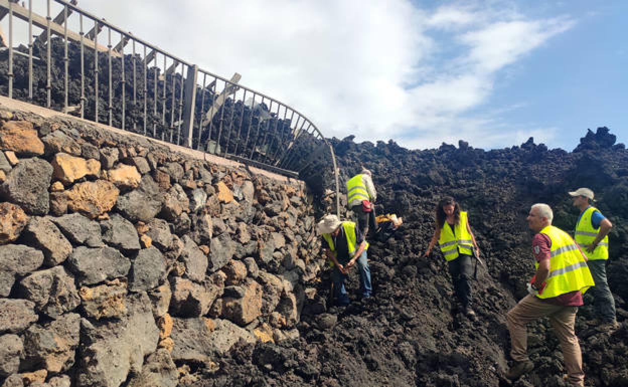 Investigadores burgaleses trabajan sobre el terreno. 