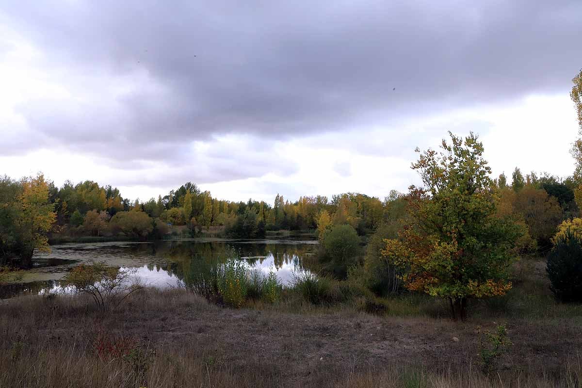 Fotos: La búsqueda del hombre desaparecido en Burgos cierra su octavo día sin novedades