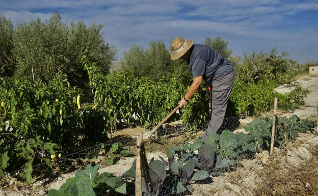 El empoderamiento de la mujer en Burgos, figura clave para el desarrollo del medio rural