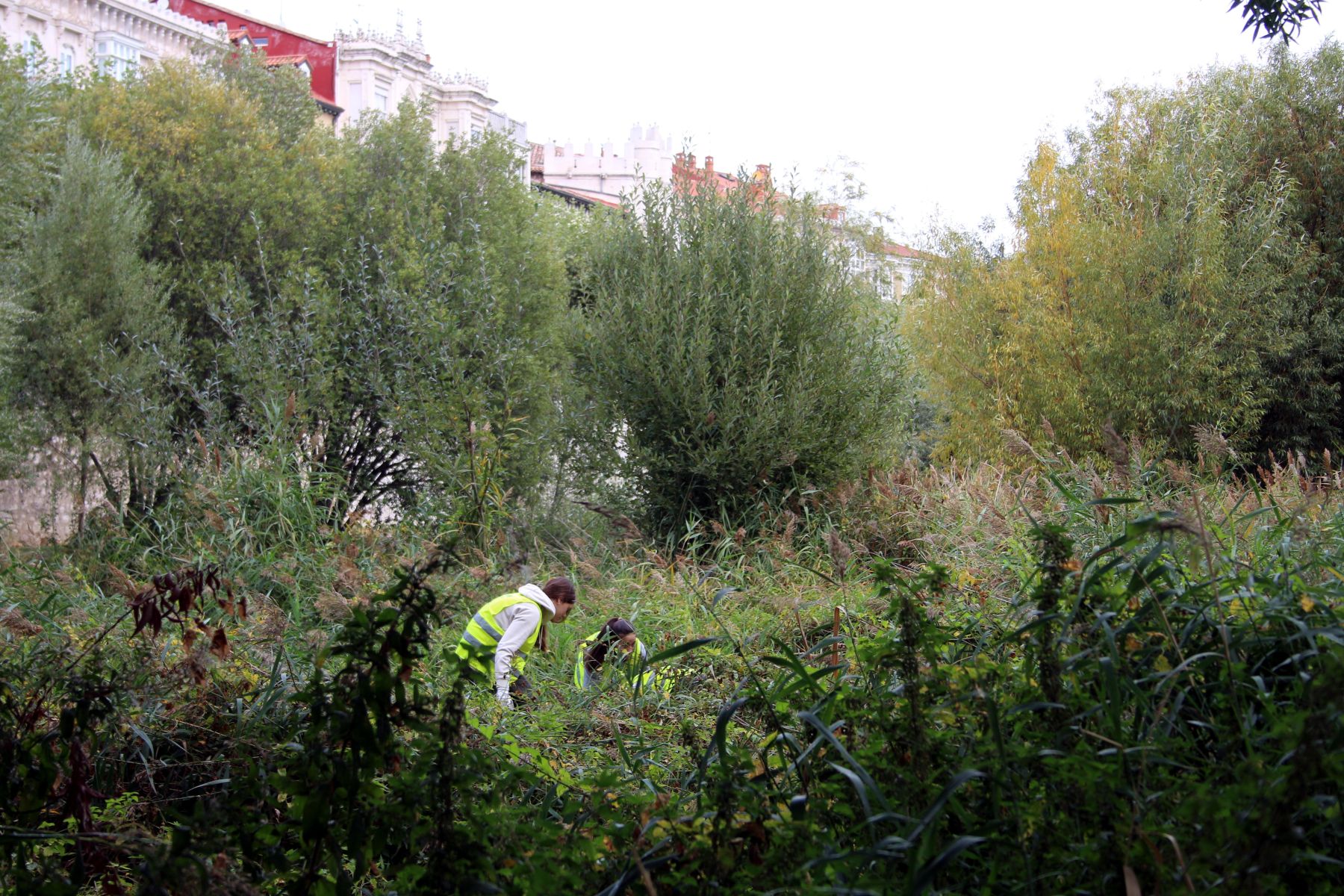Fotos: En busca de plásticos en los ríos de Burgos