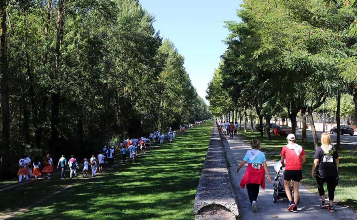 Marcha de las Peñas en 2019.