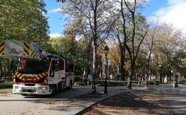 Intervención en el Parque de la Isla para la retirada de ramas.