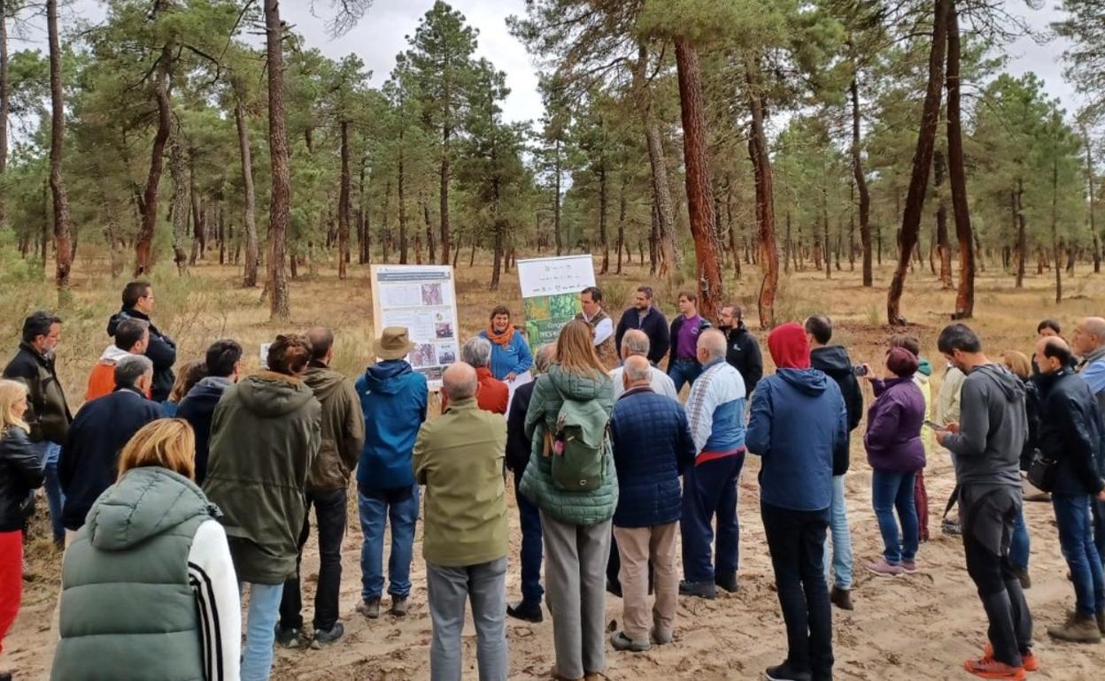 Actividad en el monte de Nieva (Segovia), organizada en el contexto del Congreso. 