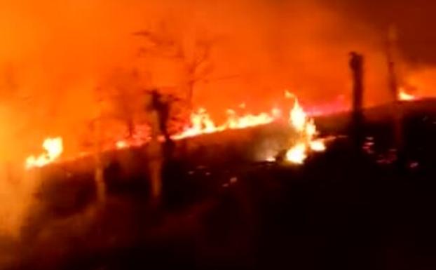 Imagen del incendio en la noche del miércoles en el puerto de Los Tornos, en la frontera con Burgos. 