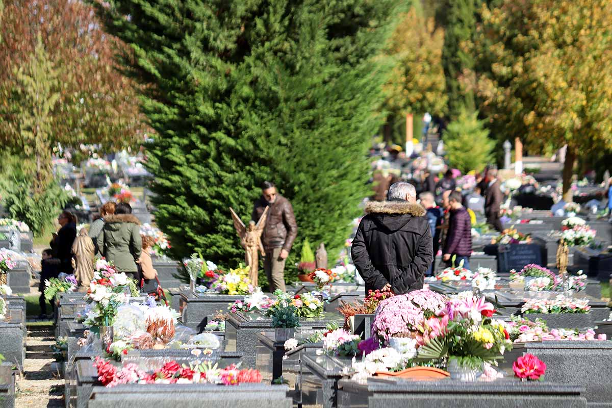 Fotos: Los burgaleses llenan el cementerio para honrar a sus muertos