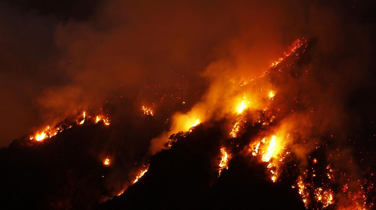 El Estado de California vivió en 2020 uno de los peores años de su historia en cuanto a número de incendios y superficie quemada, una situación que empeora gravemente con el cambio climático. 