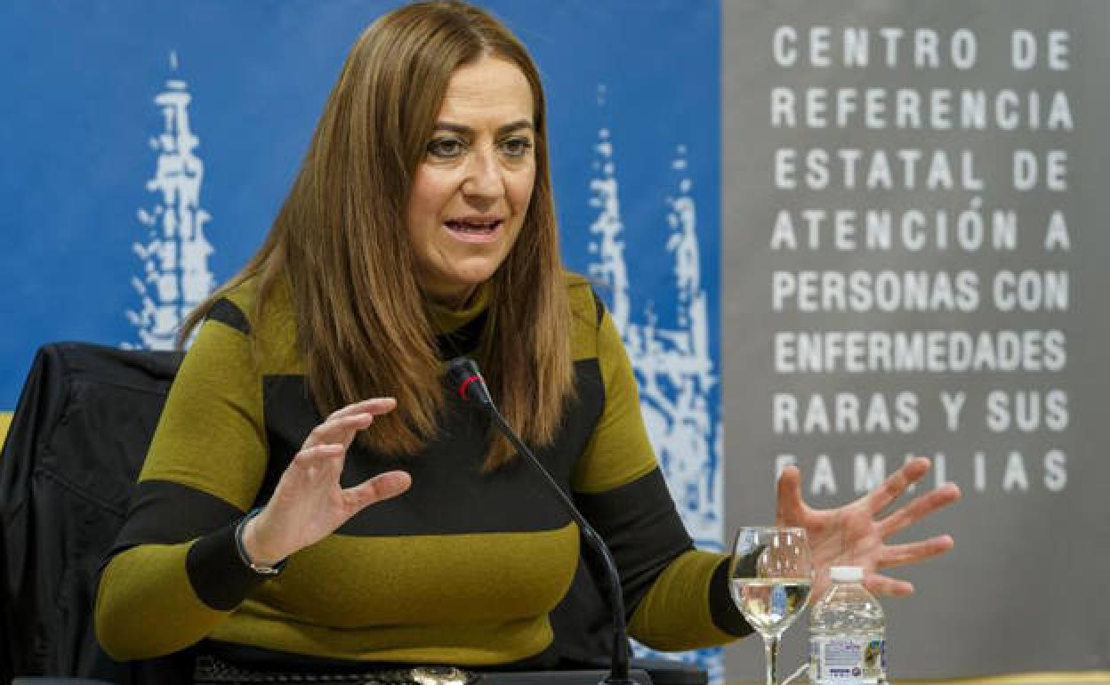 La delegada del Gobierno en Castilla y León, Virginia Barcones. 