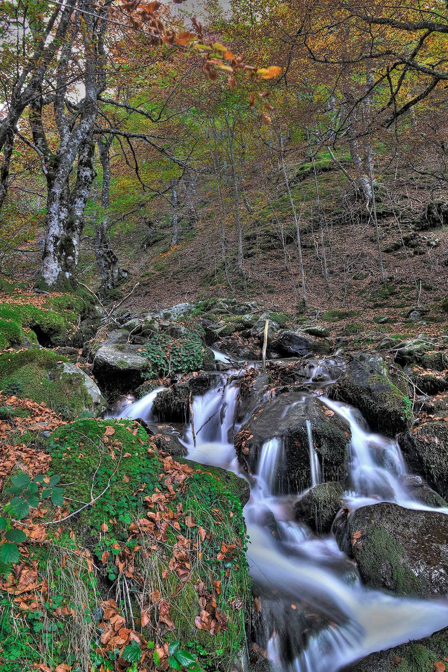 Santa Cruz del Valle Urbión.