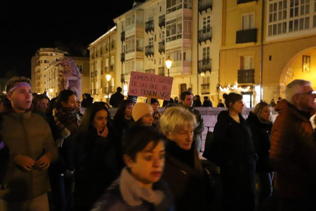 Fotos: El centro de Burgos se llena contra la violencia de género