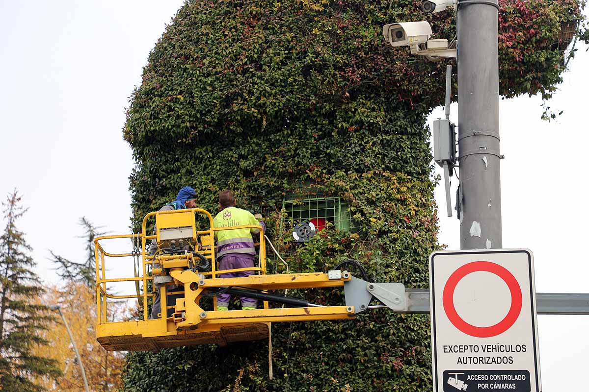 Comienza la retirada del peregrino de flores gigante que la Fundación VIII Centenario de la Catedral instaló hace poco más de un año frente al Fórum Evolución. 