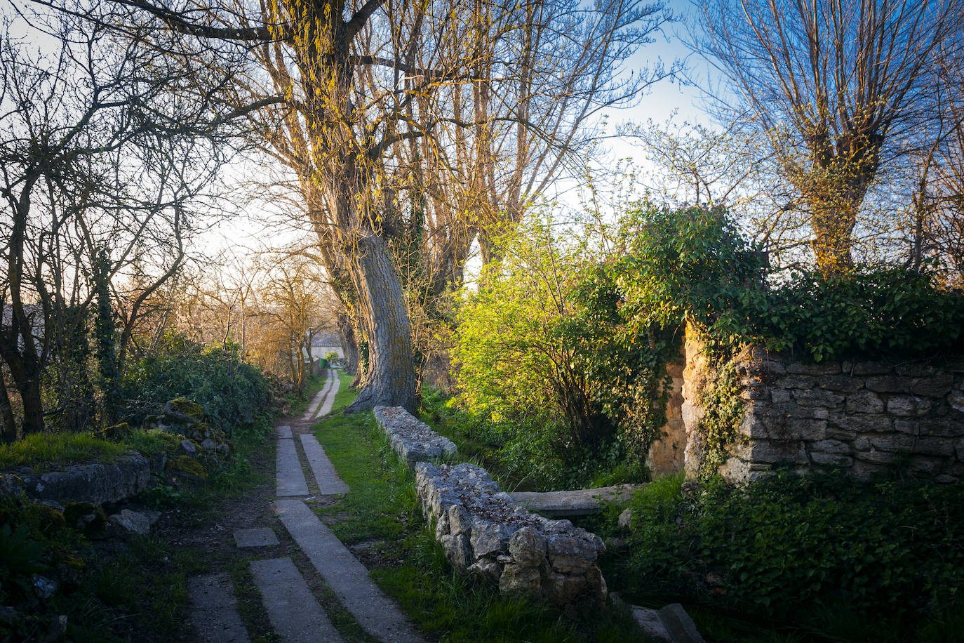 Fotos: Rubena, la aldea burgalesa del bienestar