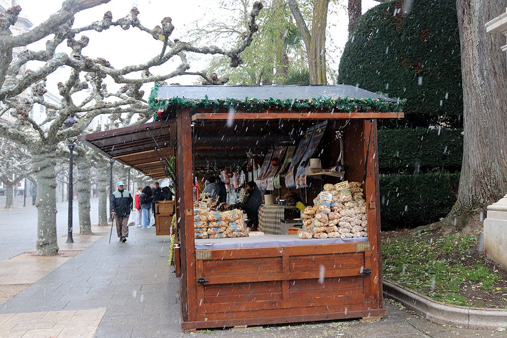 Fotos: Caen las primeras nieves en Burgos