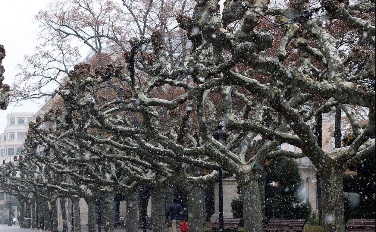 Ha empezado a nevar por la mañana en Burgos, aunque sin grandes intensidades.