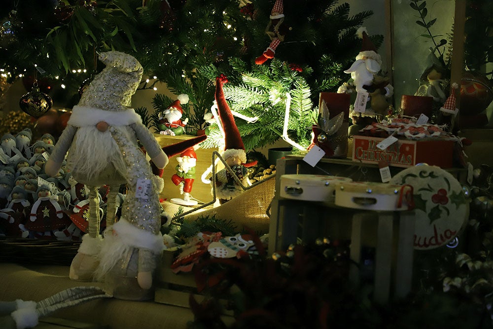 Fotos: Feria de Navidad de los Floristas de Burgos