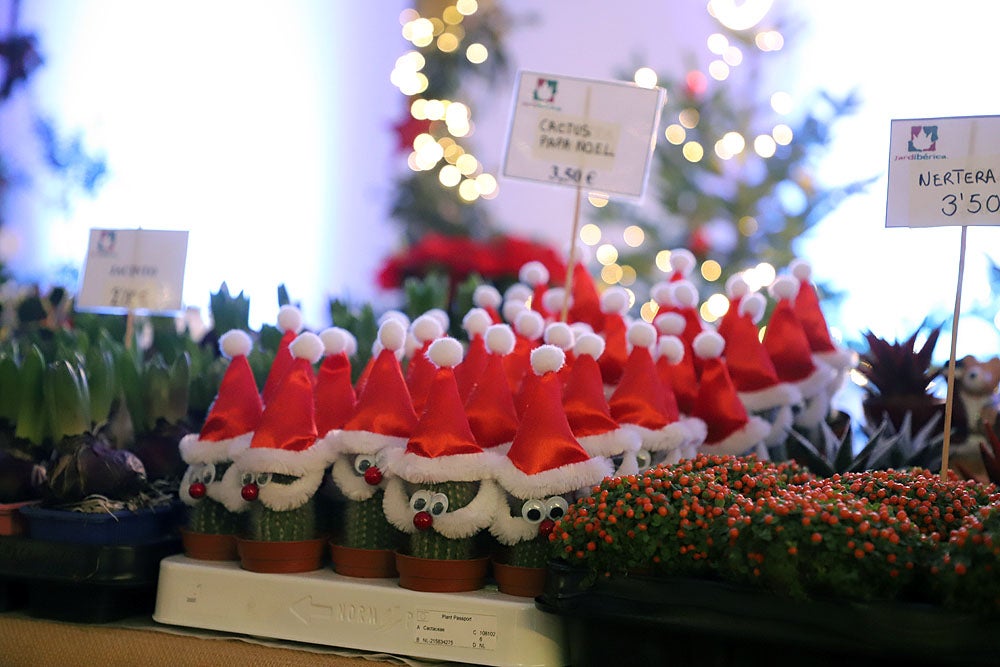 Fotos: Feria de Navidad de los Floristas de Burgos