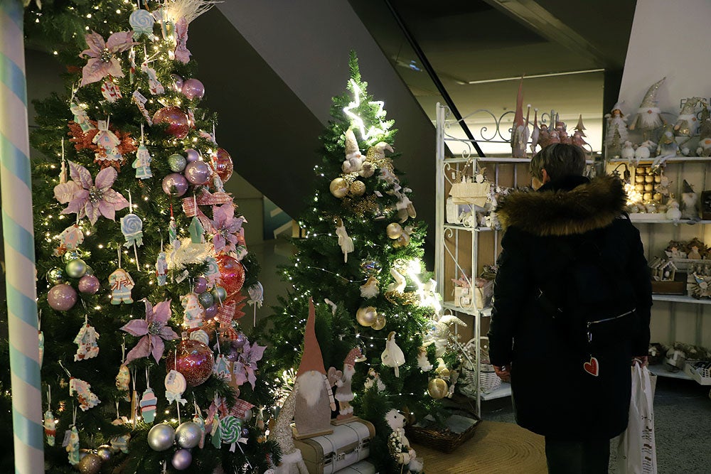 Fotos: Feria de Navidad de los Floristas de Burgos