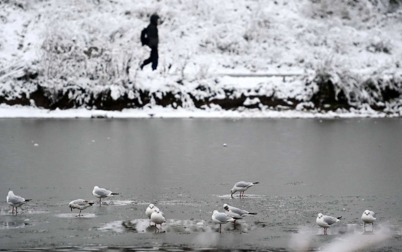 Fotos: Espectacular nevada en Londres