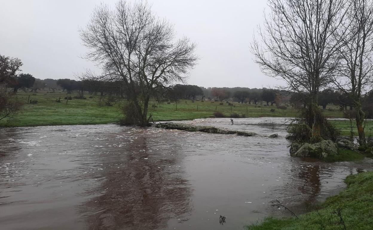 Estado del campo tras las últimas precipitaciones en la zona de Ledesma, Salamanca. 