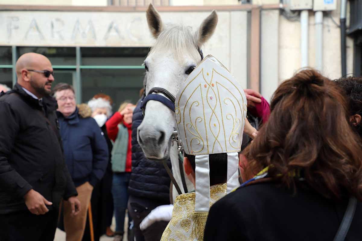 Jorge Hernández Miguel, el Obispillo de 2022, ha recorrido el centro de Burgos a lomos de un caballo. El Obispillo reivindica la mirada «inocente de los niños» como forma de evitar conflictos. 