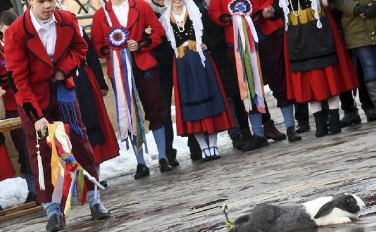 Durante el Escarrete se emplean conejos y gallos vivos y atados alrededor de los que se baila. 