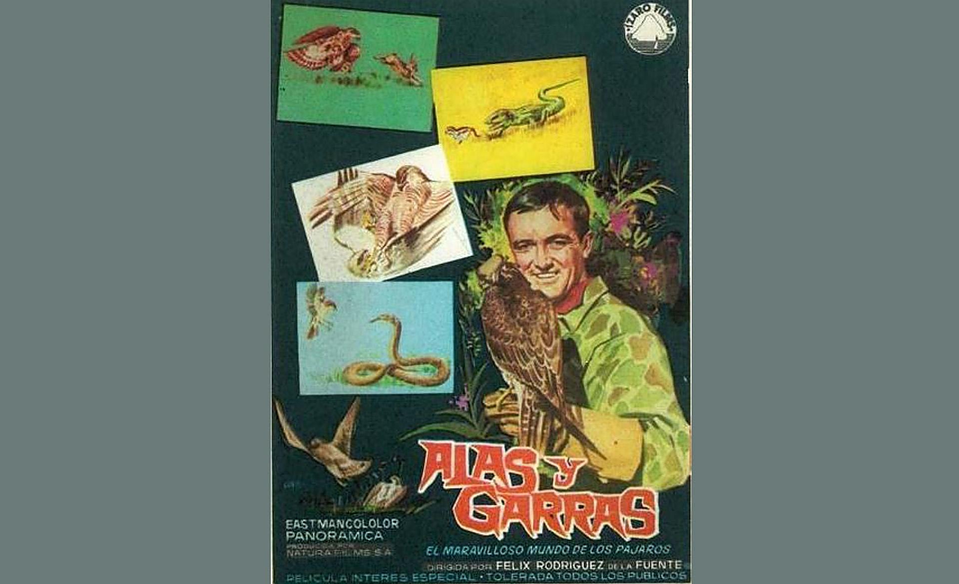 Scroll Story imagen 3