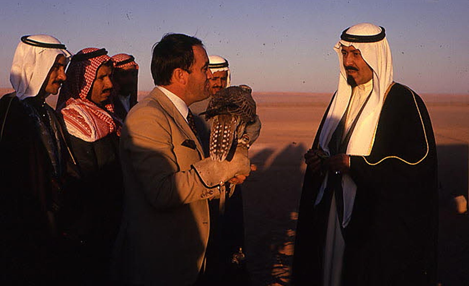 Scroll Story imagen 6