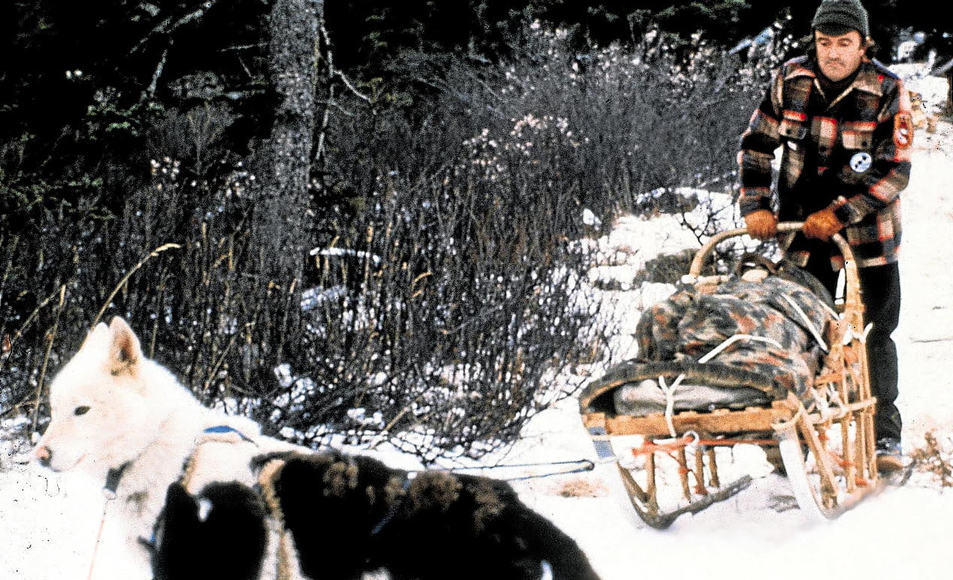 Scroll Story imagen 9