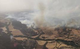 El incendio afectó a 1.000 hectáreas de sabinar.