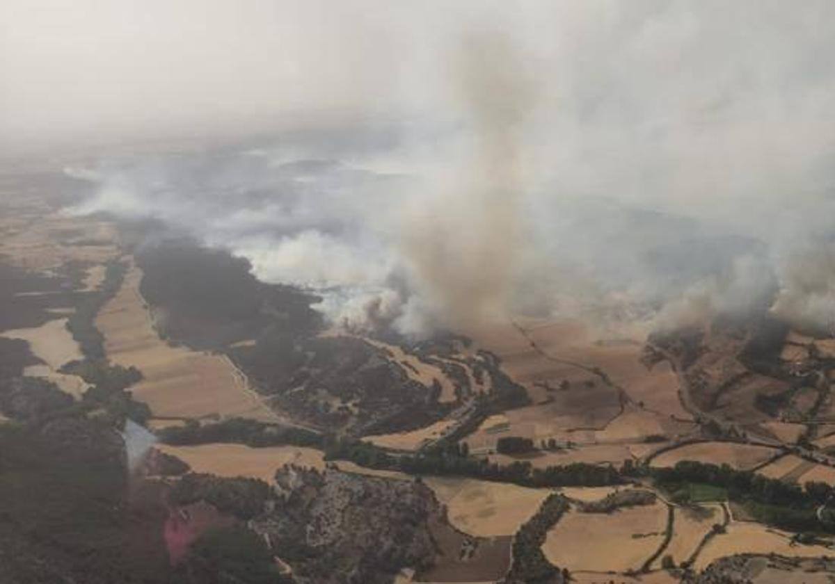 El incendio afectó a 1.000 hectáreas de sabinar.