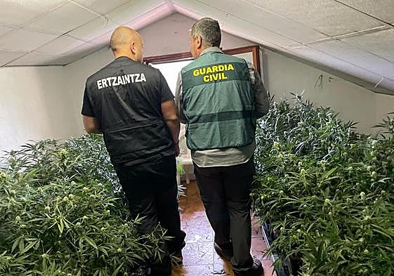 La operación se ha llevado a cabo entre la Ertzaintza y la Guardia Civil.