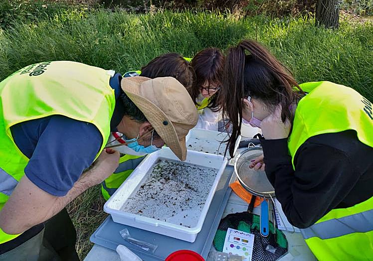Valoración del estado ecológico del río Arlanzón llevado a cabo por el CoLab de Fundación Oxígeno.