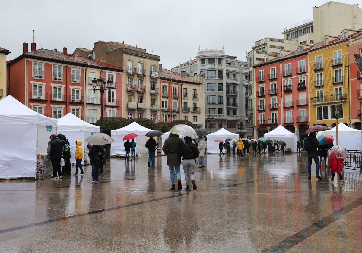 La lluvia echó a los libreros de la Plaza Mayor el año pasado y el día se celebró en las librerías.