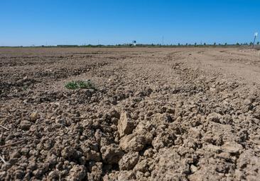 Marzo deja un 72 % menos de agua en la provincia de Burgos que en 2022