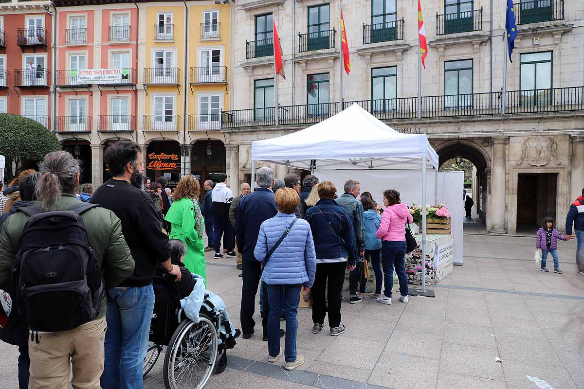 La feria del Día del Libro llena de lectores y literatura la plaza Mayor de Burgos