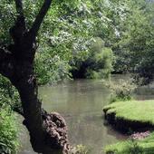 Crespos, un pueblo encantado en la provincia de Burgos