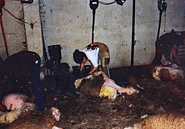 Cuatro generaciones de esquiladores formaban esta familia.