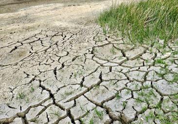 La sequía amenaza a Castilla y León