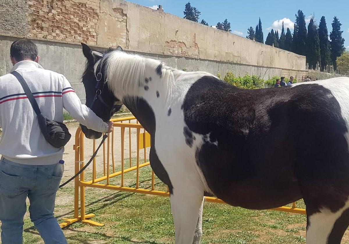 El sol brilla en la Feria del 1 de mayo en Miranda