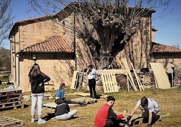 Alpaka Fest, el festival que surge en Hacinas desde la tradición y las raíces rurales