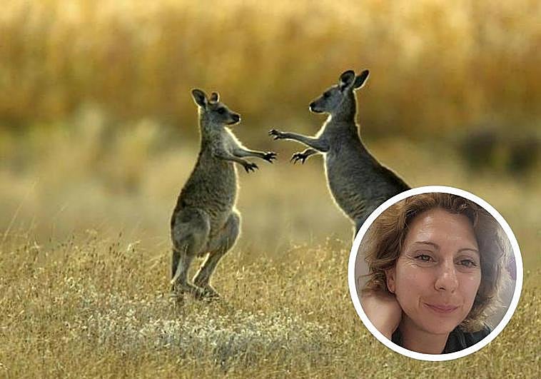 La profesora Bárbara de Aymerich desvela las curiosidades de los canguros.