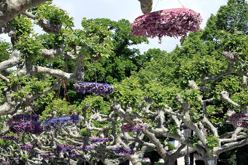 Monumentos florales de la Fiesta de las Flores de Burgos